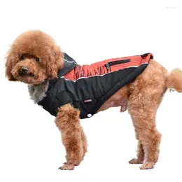 Dog Apparel Style Letter Painting Zipper Decoration Pet Cotton Coat Clothes LWD507