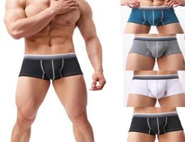 Underpants Men 039s Swimwear Underwear Striped Boxer Briefs Shorts Bulge Pouch Trunks Beachwear11407520