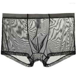 Underpants Men's Underwear Transparent Boxers Bulge Ice Silk See Through Sexy Briefs Low Waist Panties Lingerie Intimates