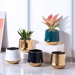 Electroplated golden ceramic flower pots creative flower pot layout flower pot container lights luxurious gold edge dry flower decoration 240517