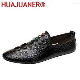 Casual Shoes Driving Fashion Men Crocodile Pattern Luxury Designers Slip On Flat Business Classic Formal