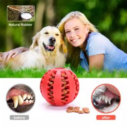 Dog Food Ball Pet Dog Toy Interactive Rubber Balls for Small Large Dogs Puppy Cat Chewing Toys Pet Tooth Cleaning