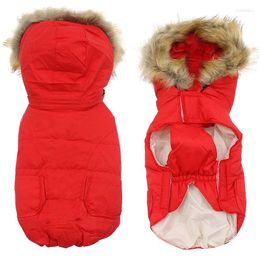 Dog Apparel Puppy Clothes Small Pet Winter Detachable Hooded Fur Collar Warm And Windproof Teddy Chihuahua