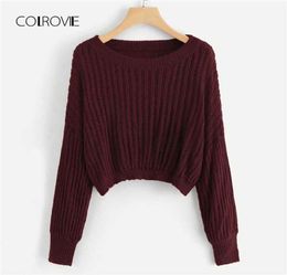 COLROVIE Burgundy Ribbed Casual Crop Women Sweater 2018 Autumn Knitted Streetwear Pullovers Jumper Girls Sweaters Women Clothes3516542