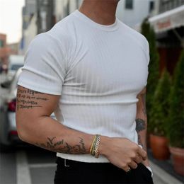 INS Fashion Muscle Fitness Mens Summer Sports Fitness Leisure Round Neck Elastic Short Sleeve Vertical Stripe T-shirt 240520