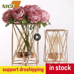 Vases Plated Alloy Glass Plant Holder Iron Line Floral Flower Arrangement Golden Vase Retro Metal Flowers Pot Nordic