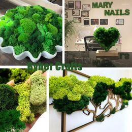 Decorative Flowers 420g Artificial Green Plants DIY Crafts Moss Grass Eternal Life Mini Landscape Fake Home Living Room Garden Decor