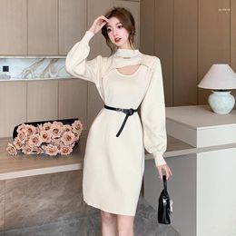 Casual Dresses High Quality Knit Dress For Autumn And Winter Half Collar Style Ladies With Waistband Fur