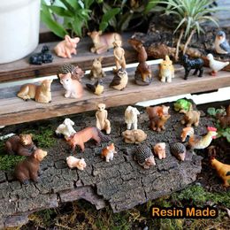 Novelty Games Resin Miniature Animals Fairy Garden Mini Forest Farm Animal Realistic Micro Tiny Animals Figurines Squirrel Chicken Bunny Set Y240521