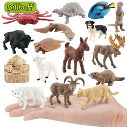 Novelty Games Animals Zoo Insect Spider Butterfly Fish Dinosaur Dog Cat Horse Figurines Farm Model Action Figures educational toy for children Y240521