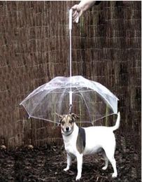 Cool Pet Supplies Useful Transparent PE Pet Umbrella Small Dog Umbrella Rain Gear with Dog Leads Keeps Pet Dry Comfortable in Rain5837537