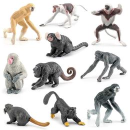 Novelty Games Realistic monkey pattern animal action diagram Macaque Gibbon Bonobo Marmoset model toy gift childrens home decoration Y240521