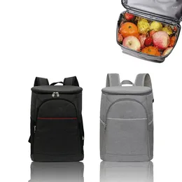 Storage Bags 20L Backpack Insulated Bag Waterproof Picnic Rucksack Ice Cooling Thermal Lunch Box Camping Cooler Unisex Refrigerator