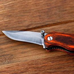 Portable Small Multifunctional Outdoor Mini Fruit Folding Knife 271696