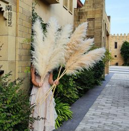 6pcs Stems Natural Dried Pampas Grass Flower Tall Large Fluffy for Home Office Wedding Events Decoration Raw Colour Plume Flower Bu2481845