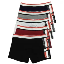 Underpants Fashionable Men's Cotton Boxers Shorts With Letter Logo Elastic Waistband Lingerie Hombre Soprt Briefs