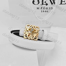 Loewebelt Belts Fashion Double-Sided Lychee Grain Loewe Belt Luxury Men Women Designer Belt Width 3.8Cm Gold Silver Smooth Buckle Leather Belts 538