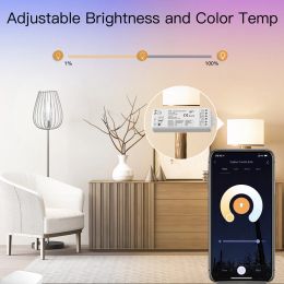 2in1 WiFi Smart LED Dimmer Controller 12V 24V COB Single Colour CCT Strip Light Tuya Smart Life APP Voice Control fr Alexa Google