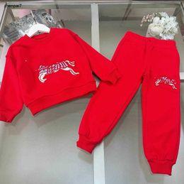 Top baby Tracksuits girl boy Hoodie set Size 100-160 kids designer clothes Plush Knight Pattern pullover and pants Jan20