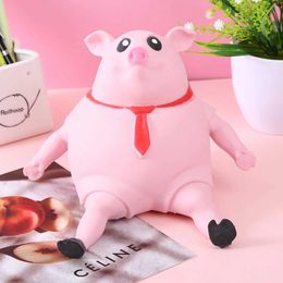 Decompression Toy Pig Squeeze Funny Slow Rebound TPR Piggy Doll Stress Relief Toys Kids Interesting Gifts For Toddlers H240521