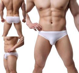 Men039s Sexy Ice Silk Bikini Underwear Low Rise Seamless Breathable Briefs Men Transparent Briefs KCN04 Size XSL5515880