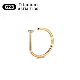 G23 Titanium G23 Titanium Nose Ring Piercing D-shaped Medical Tragus Helix Stud Hoop Earring Septum Ring wholesale Body Jewelry
