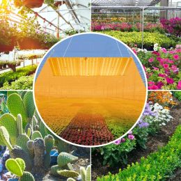 3500W Led Grow Light Phyto Lamp For Plants Bulb Full Spectrum Quantum Board Hydroponics Greenhouse Flowers Seeds Growth Lamp