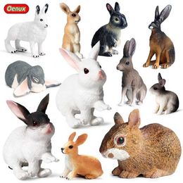 Novelty Games Oenux Lovely Farm Rabbit Bunny Model Action Figure Figurine Wild Desert Cottontail Hare Cute PVC Decoration Education Kid Toy Y240521