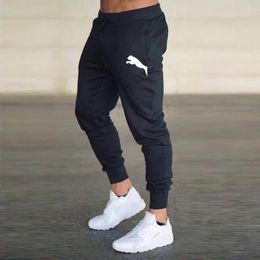 Fashion Outdoor Jogging Trend Men Print Sweatpants Pants Tracksuits Harajuku Streetwear Spring Autumn Trousers 240513