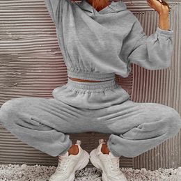 Women's Two Piece Pants Top Sweatshirt Set Full Length Hooded Light Grey Yellow Long Sleeve Loose Outfit Commuting Wind Comfy