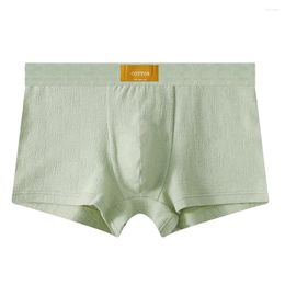 Underpants 1pc Men's Soft Cotton Blend Jockstrap Pouch Boxers Shorts Middle Waist Underwear Boxer Briefs Lingerie Man Panties