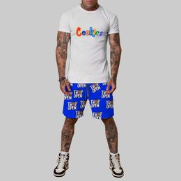 Mens Tracksuit Loose Suit Summer Street Casual Digital Print Short Suit 3D Short Sleeved Two Pieced Shorts Set