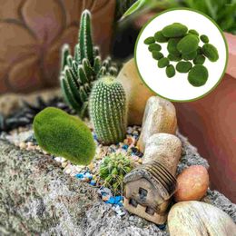 Decorative Flowers Artificial Stone Ornament Micro Landscape Diy Moss Ball Faux Mossy Floral Plastic