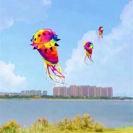 Kite Accessories Free delivery of colored 3D kit oversized trailer kit cometa grande de viento drawing toy windsurf papalot drawing toy WX5.21