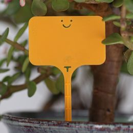 15-100PCS Garden Re-usable Plastic Plant Labels T-type Sign Tags Waterproof Markers Record Plate Flower Vegetables Potted Stakes
