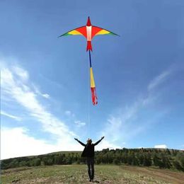 Kite Accessories Free delivery of 3-meter Swiss Firebird Kite Outdoor Flying Toy Set Handle Set Tail Wind Surfing Sports Game Large Kite Giant Kite WX5.21