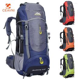 Backpack 2024 Sports Outdoor Camping Climbing Bag Waterproof Mountaineering Hiking Backpacks Sport Travel Rucksack