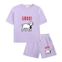 Baby Designer Kids Clothing Sets Boys Girls Summer Luxury Tshirts Shorts Tracksuit Children Outfits New Style High Quality Short Sleeve Sportsuit CRD2405211-6