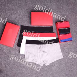 Pure Cotton Mens Underpants Underwear Designer Breathable Soft Boxers Sexy Male Underwear 3pcs/Lot