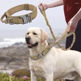 Dog Collars High Quality Multi-color Heavy Duty Nylon Mil Tactical Collar Training Pet With Metal Buckle