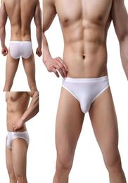 Men039s Sexy Ice Silk Bikini Underwear Low Rise Seamless Breathable Briefs Men Transparent Briefs Trend KCN04 XSL5480543