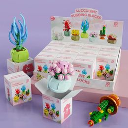 Building Blocks Succulent Blind Box DIY Toy Cute Succulents Plant Potted Model Mystery Holiday Gift Decorative Ornament 240520