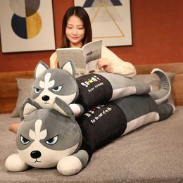 Stuffed Plush Animals 100/120cm Giant Size Cute Husky Dog Plush Toys Stuffed Animal Puppy Dog Pillow Soft Lovely Doll Kawaii Christmas Gift for Kids Q240521