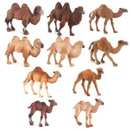 Novelty Games Simulation Camel Action Figure Wild Animals Figurines Desert Captive Realistic Models Kids Children Toys Gift Home Decor Collect Y240521
