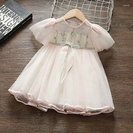 Girl Dresses 2024 Girls Summer Embroidery Flowers Mesh Tutu Princess Dress Bithday Baby Kids Children Clothes Outfits