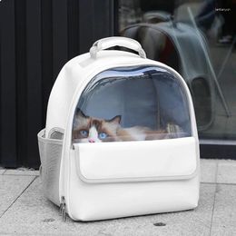 Cat Carriers Dogs Breathable Carrying Space Bag Backpack Handbag Puppy Kitten Outing Transparent Portable Pet Carrier Travel