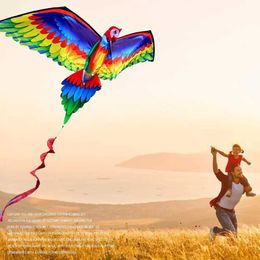 Kite Accessories Rainbow Sports Beach Kite Handle Windsock Kite Realistic 3D Parrot Kite Flying Game Family Beginner Children WX5.21