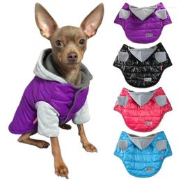 Dog Apparel Pet Clothes Autumn Winter Warm Sweater Cat Fashion Wool Coat Medium Small Hoodie Puppy Cute Jacket Poodle Chihuahua