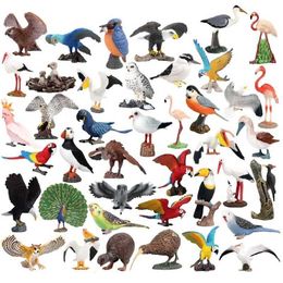 Novelty Games Simulation Wild Bird Animal Flamingos Parrot Peacock Owl Model Action Figures Miniature Educational Collection Toys For Children Y240521