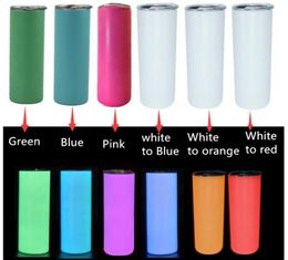 DIY Sublimation Tumbler Glow in The Dark Tumbler 20oz STRAIGHT Skinny Tumbler with Luminous paint luminous Cup Stainless Steel Wat5784146